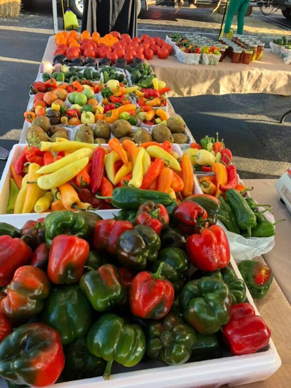 Alton Farmers' & Artisans' Market Alton Main Street